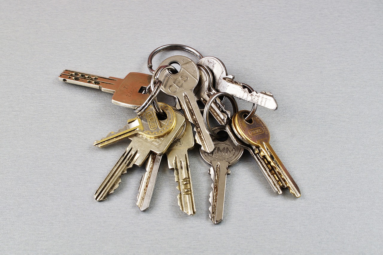 key, keychain, door key-2148476.jpg